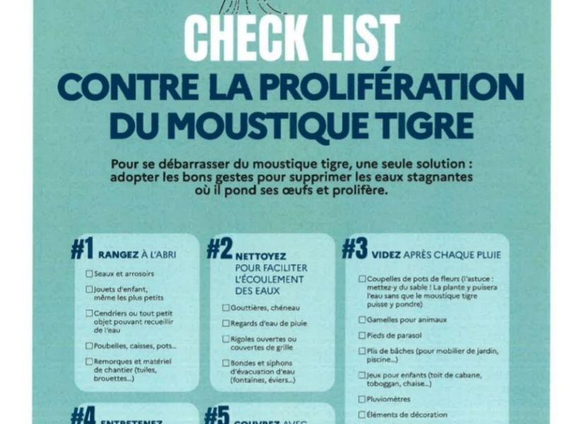Moustique tigre